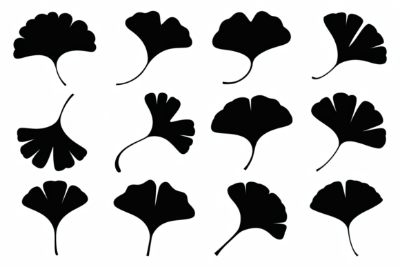 Ginkgo Leaf Silhouettes Vector Pack: A Graphics Asset for Crafts and Creative Publishing